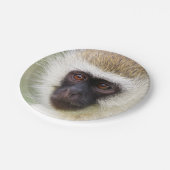 Niedliches Affeporträt Pappteller (Schrägansicht)