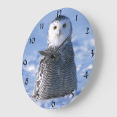 Niedliches Alaska Arctic Snowy Owl Winter Foto ent Große Wanduhr (Winkel)