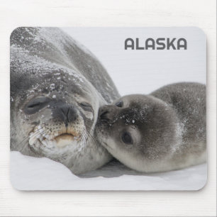 Niedliches Alaska Baby Siegel und Mama Mouse Pad Mousepad
