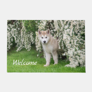Niedliches Alaskan Malamute Dog Welpe in Blume Fot Fußmatte
