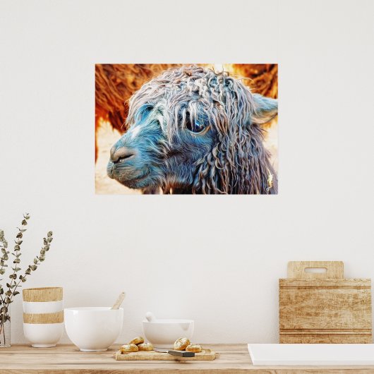 Niedliches Alpaca Baby in Blue Poster (Küche)