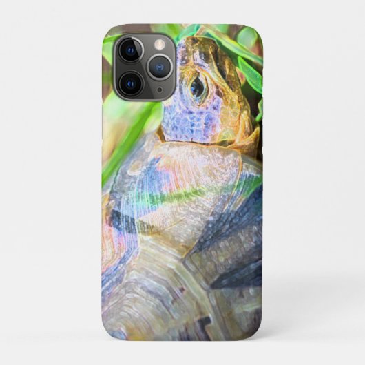 Niedliches Angulate Tortoise Südafrika Details Case-Mate iPhone Hülle (Rückseite)