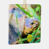 Niedliches Angulate Tortoise Südafrika Details Keramikornament (Rechts)