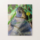 Niedliches Angulate Tortoise Südafrika Details Puzzle (Vertikal)