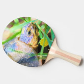 Niedliches Angulate Tortoise Südafrika Details Tischtennis Schläger (Seitenansicht)
