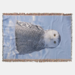 Niedliches arktisches Schneeauge-Foto für Woven Decke
