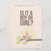 Niedliches Baby-Baby-Gender-Party einladen Einladung (Vorne/Hinten)