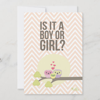 Niedliches Baby-Baby-Gender-Party einladen Einladung