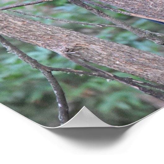 Niedliches Baby Black Bar Cube im Foto Tree Poster (Ecke)