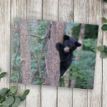 Niedliches Baby Black Bear Cub Klettergarten Natur Puzzle<br><div class="desc">Das Rätsel der Naturfotografie eines bezaubernden kleinen schwarzen Bärenkubs,  der auf einen Baum klettert.</div>