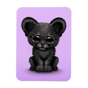 Niedliches Baby Black Panther Cub auf Lila Magnet