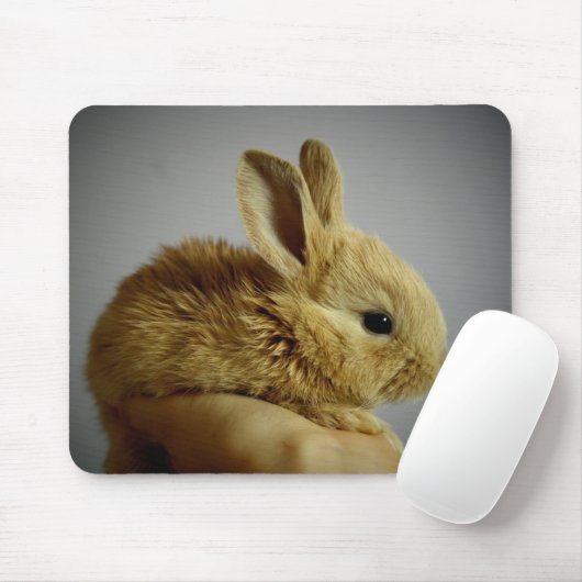 Niedliches Baby Bunny Kanbit in der Hand Mousepad (Mit Mouse)