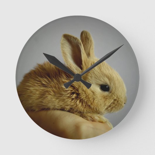 Niedliches Baby Bunny Kanbit in der Hand Runde Wanduhr (Vorderseite)