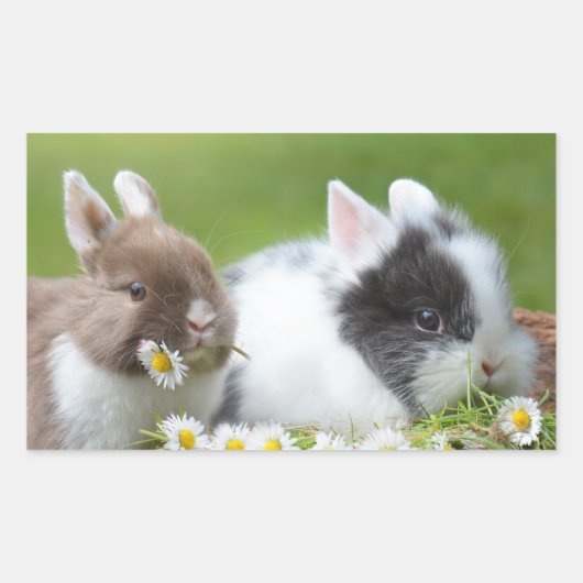 Niedliches Baby Bunny Rabbits mit Blume Rechteckiger Aufkleber (Vorderseite)