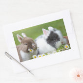 Niedliches Baby Bunny Rabbits mit Blume Rechteckiger Aufkleber (Umschlag)