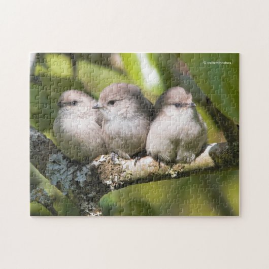 Niedliches Baby Bushtit Songbird im Birnbaum Puzzle (Horizontal)