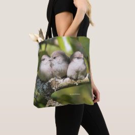 Niedliches Baby Bushtit Songbird im Birnbaum Tasche