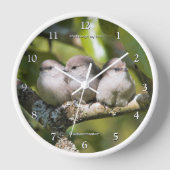 Niedliches Baby Bushtit Songbird im Birnbaum Uhr (Vorderseite)