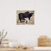 Niedliches Baby Calf Nursing auf Mama Cow Poster (Küche)