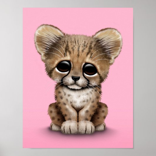 Niedliches Baby Cheetah Cub auf Pink Poster (Vorne)
