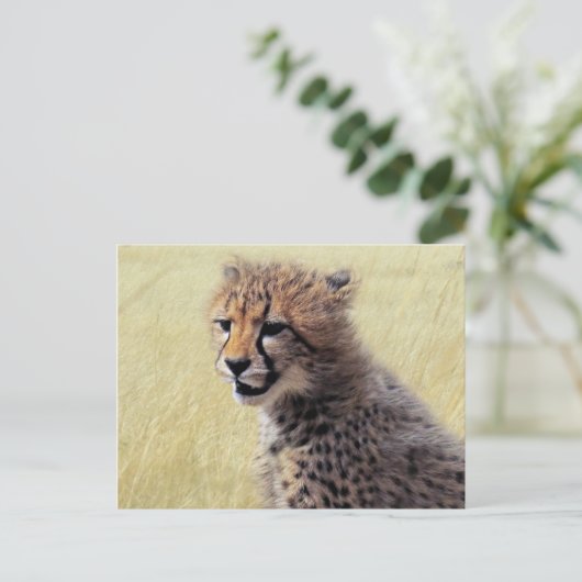 Niedliches Baby Cheetah Cub Postkarte (Stehend Vorderseite)