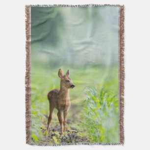 Niedliches Baby Deer Fawn in Gras Naturfotografie Decke