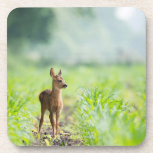 Niedliches Baby Deer Fawn in Gras Naturfotografie Getränkeuntersetzer