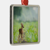 Niedliches Baby Deer Fawn in Gras Naturfotografie Ornament Aus Metall (Rechts)