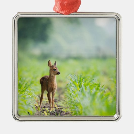 Niedliches Baby Deer Fawn in Gras Naturfotografie Ornament Aus Metall (Vorne)
