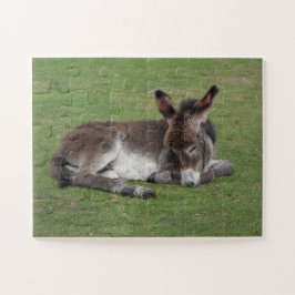 Niedliches Baby Donkey Fohlensleeping Puzzle