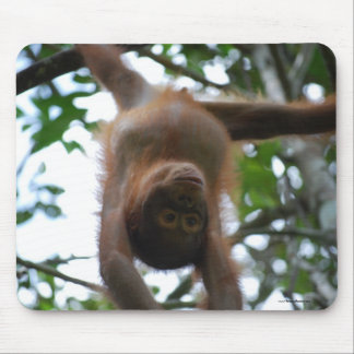 Niedliches Baby: Dschungel-wilde Tiere Mousepad