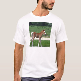 Niedliches Baby Foal Destinable Geschenke Springti T-Shirt
