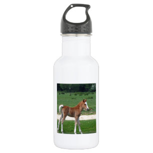 Niedliches Baby Foal Destination Springtime Adorab Edelstahlflasche