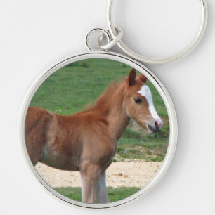 Niedliches Baby-Fohlen-Schicksals-Geschenk-Frühjah Schlüsselanhänger
