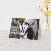 Niedliches Baby Goat Foto Beileid Karte (Gelbe Blume)