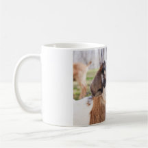 Niedliches Baby Goat Kitchen Tee & Kaffee Tasse