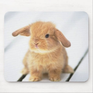 Niedliches Baby-Häschen-glücklicher Ostern-Entwu Mousepad