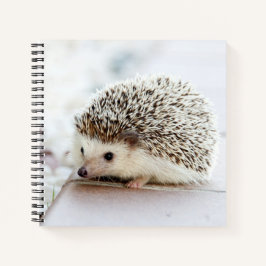 Niedliches Baby-Igel-Notebook Notizblock