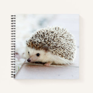Niedliches Baby-Igel-Notebook Notizblock