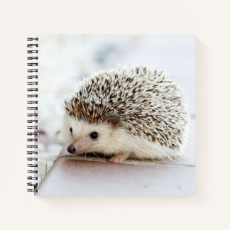 Niedliches Baby-Igel-Notebook Notizblock
