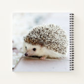 Niedliches Baby-Igel-Notebook Notizblock (Rückseite)