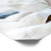 Niedliches Baby Igel Tier Fotodruck (Ecke)