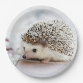 Niedliches Baby-Igel Tier Pappteller (Vorderseite)