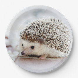 Niedliches Baby-Igel Tier Pappteller
