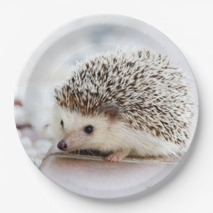 Niedliches Baby-Igel Tier Pappteller