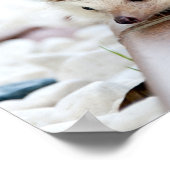 Niedliches Baby Igel Tier Poster (Ecke)