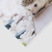 Niedliches Baby-Igels-Tier Seidenpapier (Ausschnitt)