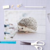 Niedliches Baby-Igels-Tier Seidenpapier (Handwerk)