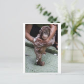 Niedliches Baby je Postkarte (Stehend Vorderseite)