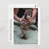 Niedliches Baby je Postkarte (Vorne/Hinten)